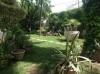 Tunis Pasteur 