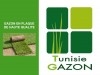 Tunisie gazon sarl producteur de gazon naturel 