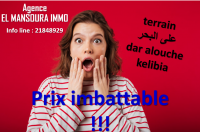 un beau lotissement dar alouche kélibia