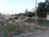 Un beau terrain Cité les Pins La Marsa CS-56697f