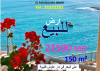 un bon terrain front mer 