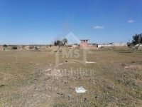 Un lot de terrain à vendre à Hammamet à 55 MD 