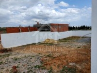 Un lot de terrain à vendre à Hammamet Sud 51355351