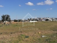 Un lot de terrain à vendre à Hammamet à 55 MD
