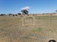Un lot de terrain à vendre à Hammamet à 55 MD