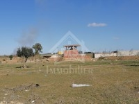 Un lot de terrain à vendre à Hammamet à 55 MD
