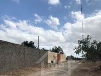 Un lot de terrain clôturé à vendre à Hammamet Sud 
