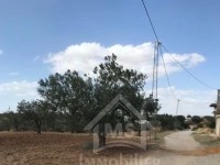 Un lot de terrain clôturé à vendre à Hammamet Sud 