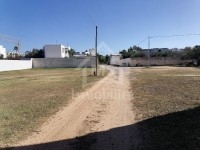 un Superbe Terrain 555m² à Vendre à HAMMAMET SUD 