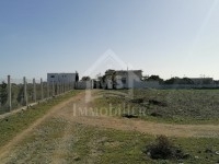 un superbe terrain 557m² à vendre à HAMMAMET SUD 