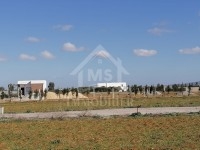 un superbe terrain 557m² à vendre à HAMMAMET SUD 