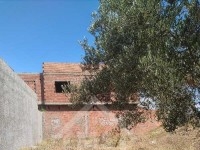 Un superbe terrain à vendre à Nabeul à 135 MD 