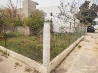 Un superbe terrain à vendre à Hammamet 51355351
