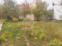 Un superbe terrain à vendre à Hammamet 51355351