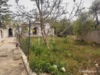 Un superbe terrain à vendre à Hammamet 51355351