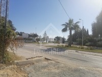 un superbe Terrain à Vendre à HAMMAMET Centre 