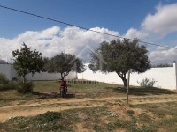 Un superbe terrain à vendre à Hammamet 51355351