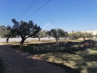 un superbe terrain à vendre à HAMMAMET SUD 