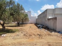Un superbe terrain à vendre à Mrezga 51355351