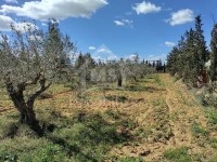 Un superbe terrain à vendre à Sidi Hammed à 125 MD