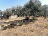 Un superbe terrain de 500 m² à Birbourgba à vendre