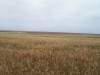 Un terr de futur a 1 km de la plage 