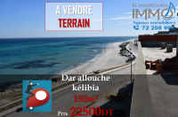 un terrain
