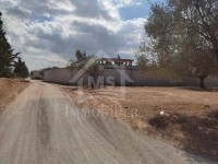 Un terrain à Hammamet à vendre à 90 MD 51355351