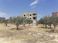 UN TERRAIN à MREZGA HAMMAMET NORD