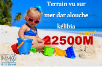 un terrain a vendre