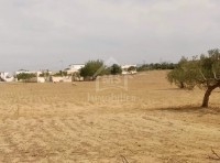 Un terrain à vendre à 110 MD à Hammamet Sud 
