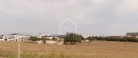 Un terrain à vendre à 110 MD à Hammamet Sud 