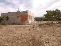 Un terrain à vendre à 110 MD à Hammamet Sud 