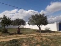 Un terrain à vendre à 80 MD 51355351