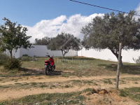 Un terrain à vendre à 80 MD 51355351