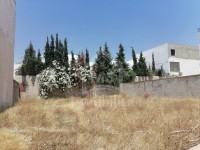 Un terrain à vendre à birbourgba 51355351
