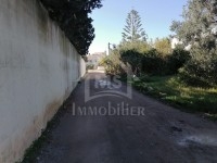 Un terrain à vendre à Hammamet Nord 51355351