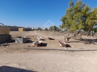 Un terrain à vendre à Maamoura 51355351