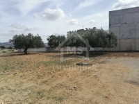Un terrain à vendre à Manaret El Hammamet 51355351