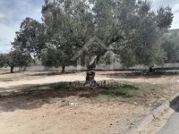 Un terrain à vendre à Manaret El Hammamet 51355351