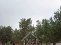 Un terrain à vendre à Mrezga 51355351