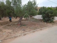 Un terrain à vendre à Mrezga 51355351
