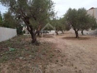 Un terrain à vendre à Mrezga 51355351