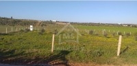 UN TERRAIN à VENDRE à SIDI HAMMAD 51500503