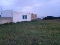 un terrain agricole  a EL-Haouaria 