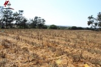 un terrain agricole de 45000 mètre carré 