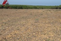 un terrain agricole de 45000 mètre carré 