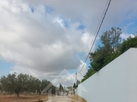Un terrain clôturé à Hammamet Sud à vendre 