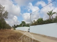 Un terrain clôturé à Hammamet Sud à vendre 