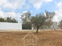 Un terrain clôturé à Hammamet Sud à vendre 